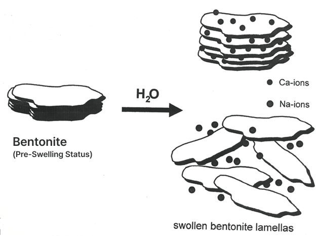 BENTO-2